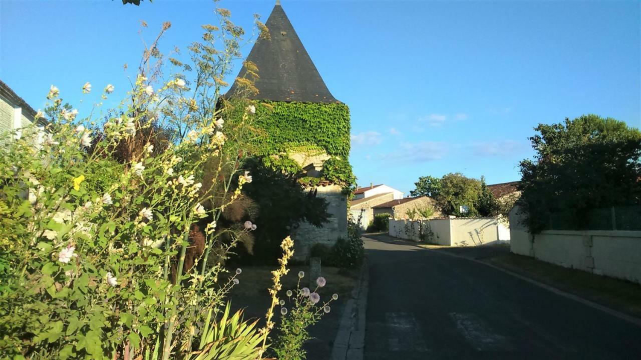 Les Gites Du Vigneron Et Cd'H Saint-Seurin-de-Palenne Экстерьер фото